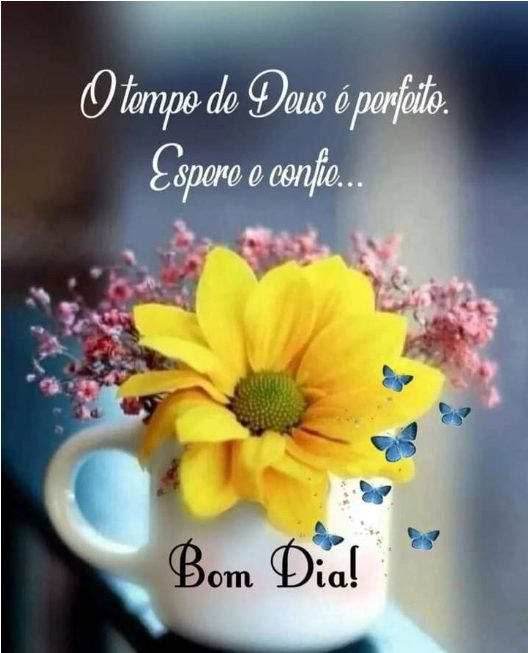 O tempo de Deus é perfeito. Espere e confie.... Bom dia! - imagem