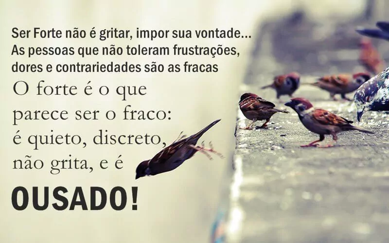 Ser Forte não é gritar....é ser ousado! - imgagem
